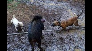 Download lagu ADU bagong paling seru dan ganas!!!new2022 mp3 Download lagu ADU bagong paling seru dan ganas!!!new2022 mp3