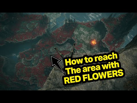How to reach the area with RED FLOWERS? Shadow of Erdtree/Dragon Communion/Charo's Hidden Grave