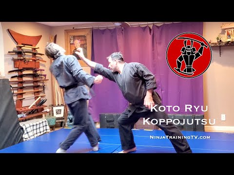 Koto Ryu Fighting Form - Tenchi (Heaven - Earth)