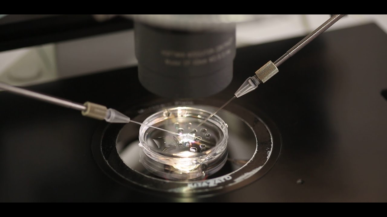 Esra Çabuk Cömert-18