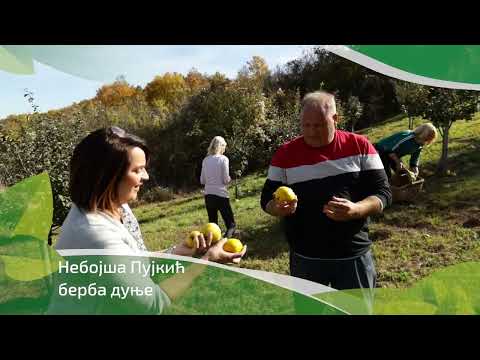 Srpski domaćin ep. 142 27.10.2022. NAJAVA