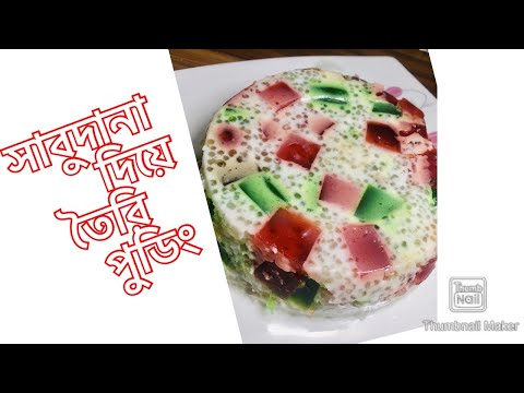 সাবুদানার তৈরি পুডিং // sago milk pudding //tapioca milk pudding racipe//Ayeka’s vlog //