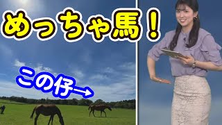 【小林李衣奈】この馬、めっちゃ馬ですよね!?【ウェザーニュース切り抜き】