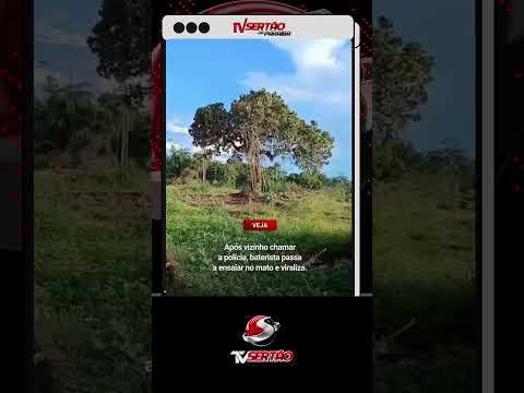 SOLUÇÃO INUSITADA: Baterista passa a ensaiar no meio do mato após visita da polícia 🥁🌳