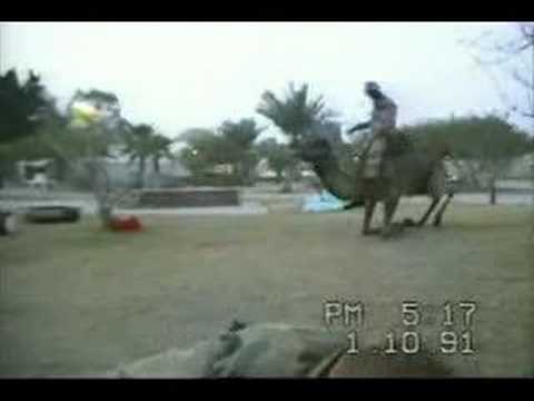 VeryStuiped Funny American Soldier Try 2 Ride a Camel