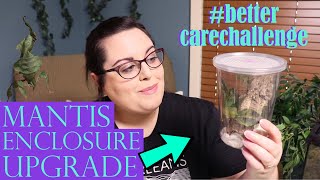 UPGRADING MY MANTIS ENCLOSURE | #bettercarechallenge