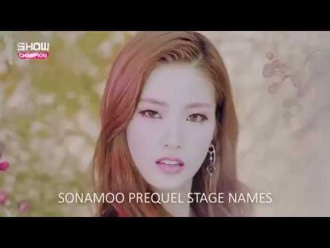 SONAMOO (소나무) PREQUEL STAGE//NAMES
