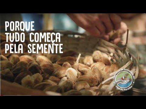 https://youtu.be/d_Ih5E4rsbk?si=-iyg4DaReUNXW7JX