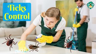 How to Get Rid of Ticks in the House Fast? How to Get Rid of Ticks in the House Naturally?