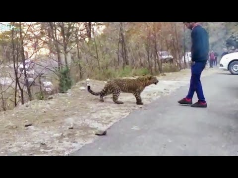 कैमरे में कैद ये मंज़र देख हैरान रह जाएंगे | Random  Moments Caught on Cam -24