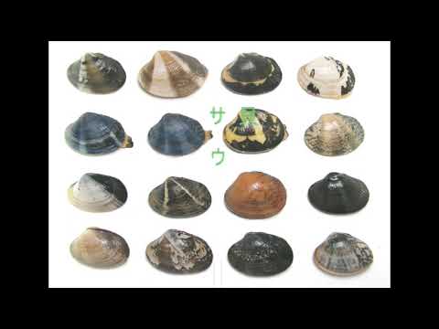 ブレーメンの考古学的発見: 私たちの祖先は驚くほど贅沢な生活を送っていた