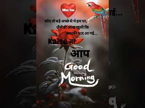 good morning status🥰🌹#whatsapp #youtubeshorts #shortvideo #viralvideo #trending