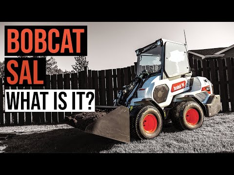 download lagu mp3 mp4 Small Bobcat, download lagu Small Bobcat gratis, unduh video klip Small Bobcat