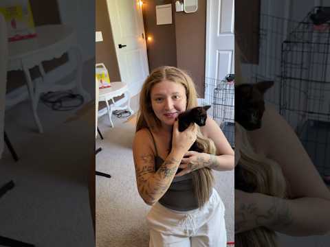 Surprising my girlfriend with a KITTEN 🐈‍⬛