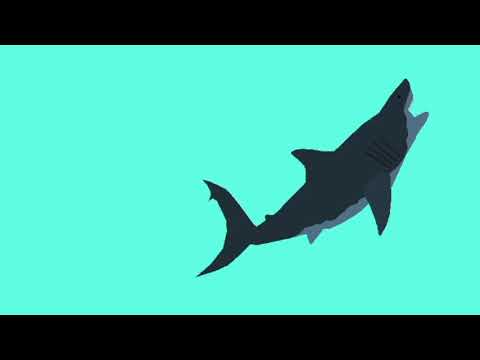 megalodon vs ichthyosaurus