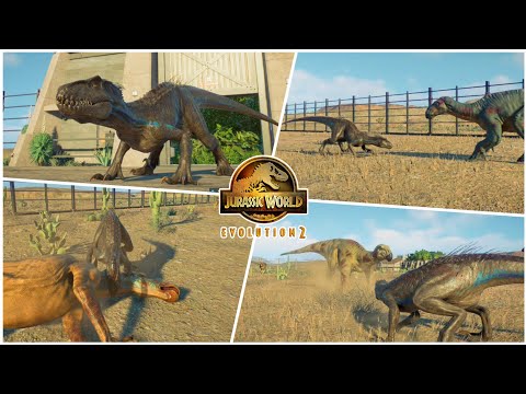 INDORAPTOR VS ALL HERBIVORES DINOSAURS - Jurassic World Evolution 2