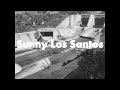 GTA V in Black and white. Sunny Los Santos 