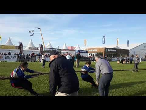 Woman's Tug of war at the Balmoral show