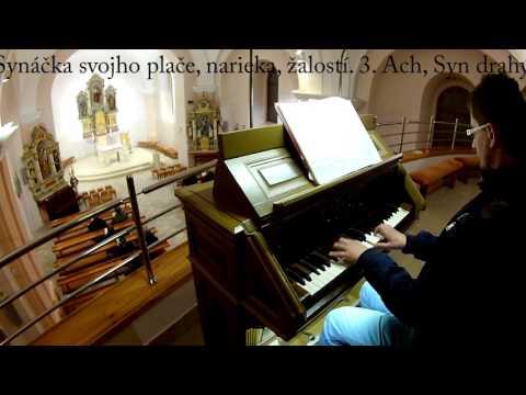 JKS 147 - Mária pod krížom (ein Lied über Schmerzensmutter)