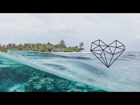 Esteble - Komorebi (Original Mix) [Deep House / Do Not Sit on the Furniture]