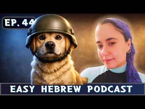 A Hebrew-speaking Nazi Dog?! The Wild History of Guide Dogs in Israel