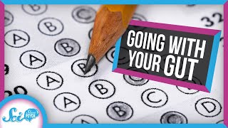Why You Shouldn&#39;t Always Trust Your Gut | The First Instinct Fallacy