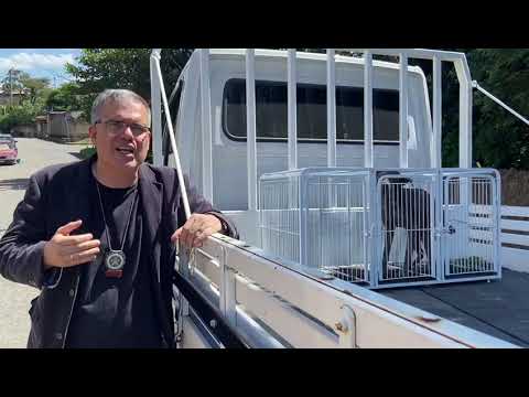 Arrozal - Cachorro vítima de maus-tratos é resgatado