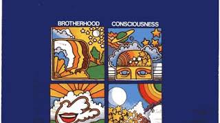 The Steve Miller Band - Your Saving Grace   (1969)