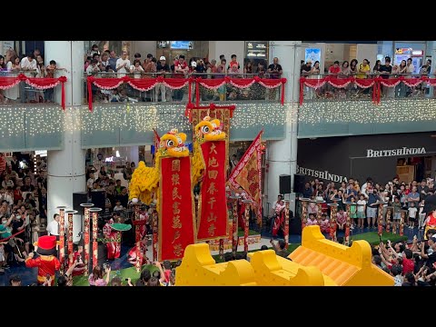Best Lion Dance in Singapore? 🦁 Marina Square CNY 2026 High Pole Highlights