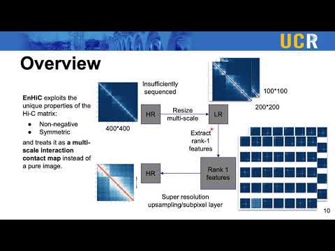 EnHiC: Learning fine-resolution Hi-C contact maps... - Yangyang Hu - RegSys - Talk - ISMB/ECCB 2021