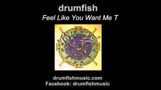 DRUMFISH: "Feel Like You Want Me T"  (Audio Only)