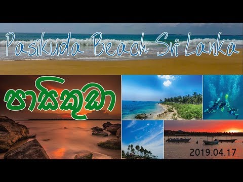 Pasikuda Beach Sri Lanka | පාසිකුඩා