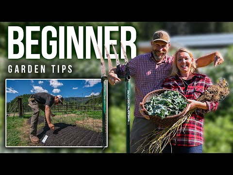 Garten-Stress? 5 einfache Schritte für Permakultur-Einsteiger