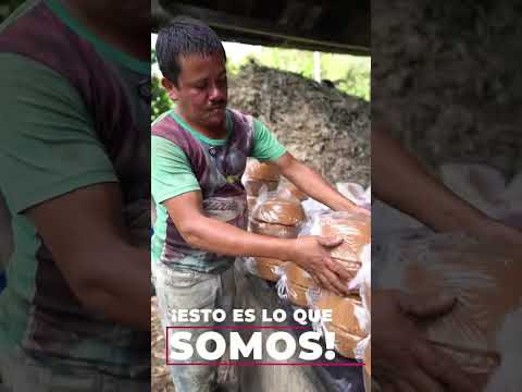 🍃 ¡Esto es lo que somos! 🍃