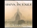 Shiva in Exile - Viva la revolucion 