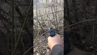 Raccoon Dies G way to save your home pt 2