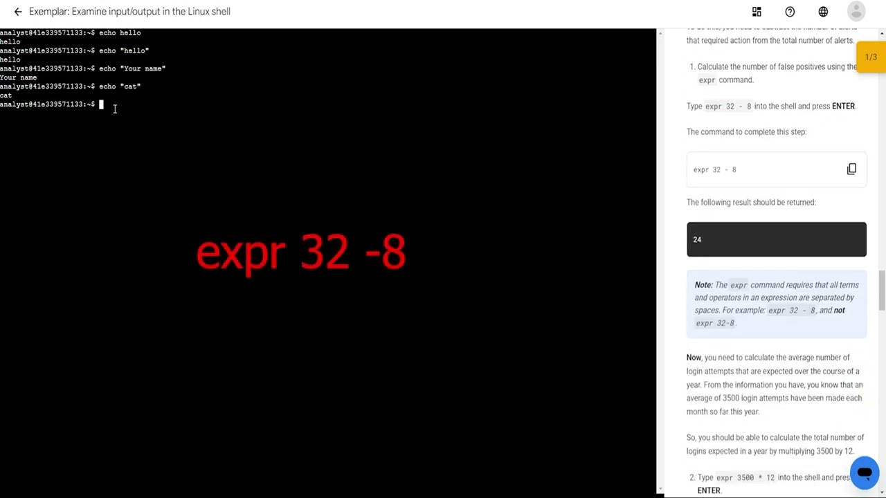 Final Google Cyber Lab 3 & 4 Examine Input and Output In Shell