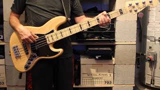 Dan Fogelberg - Lessons Learned (Bass Cover)