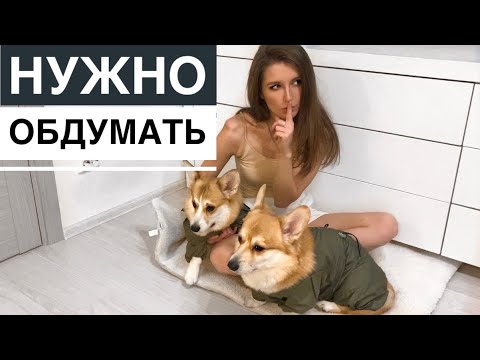 Обложка видео