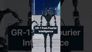 Fourier GR-1 — Healthcare & Rehabilitation Humanoid