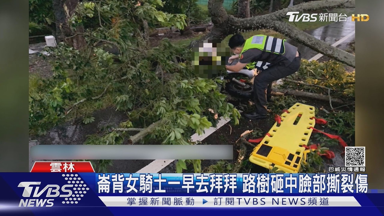 清晨出門拜拜遇劫!婦人遭斷裂路樹砸傷「滿臉血」