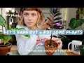 chatty repot with me 🌱  life chats, my container garden, reading updates, etc