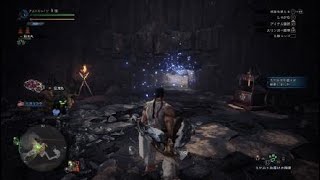 モンスターハンターワールド：アイスボーン_20241006163006