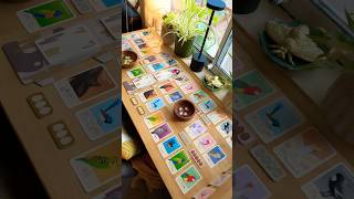 Crikey! This Card Game is Competitive! 🌿❤️☺️ #boardgames #tabletopgaming #cardgame