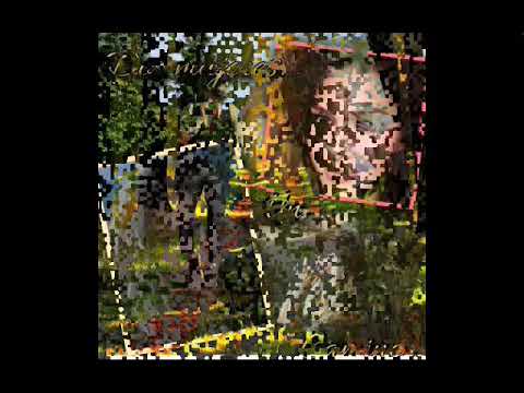 LISANDRA "LA FUERZA MUSICAL"