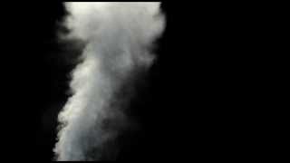 Adore Me Not feat. Rafro// WNWIA