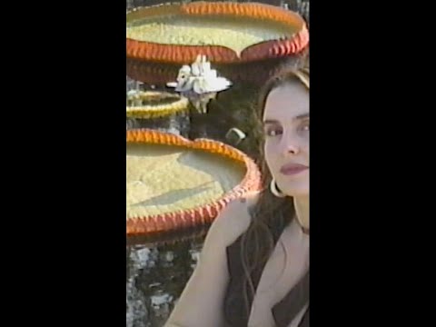 Kat Pereira - cartography of the rhizome