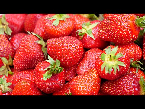 Способы заготовки клубники на зиму без варки с сохранением вкуса и аромата! Свежая клубника зимой!