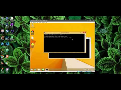 SEH Stack buffer overflow