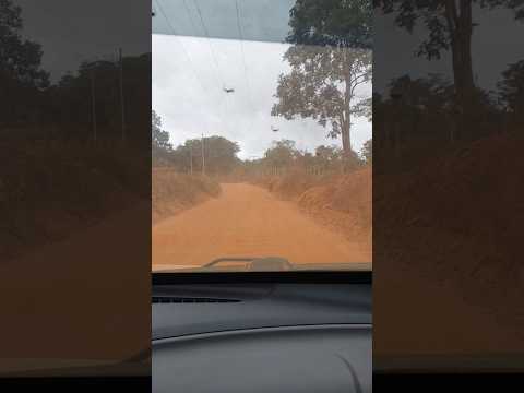 Estrada para Capelinha - MG #viagemdecarro
